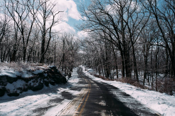 snowy road in harriman state park - new york state - corner marking fotos imagens e fotografias de stock