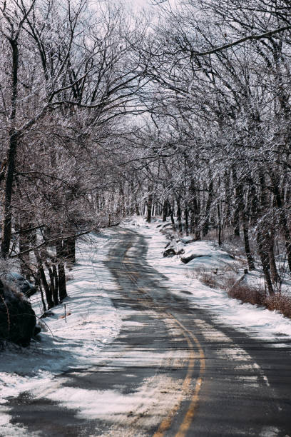 snowy road in harriman state park - new york state - corner marking fotos imagens e fotografias de stock