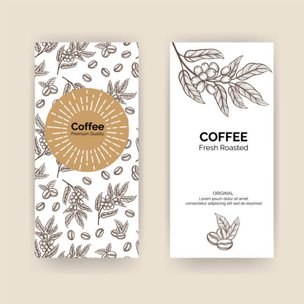 Coffee Packaging Design with coffee tree branch with leaves and beans. Vector template package for your design. Coffee Packaging Design with coffee tree branch with leaves and beans. Vector template package for your design. coffee tree stock illustrations