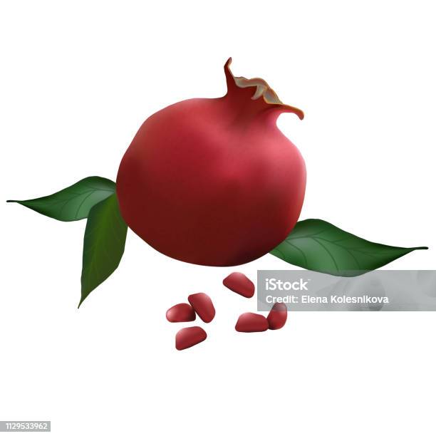 Pomegranate Realistic With Leaves Stock Illustration - Download Image Now - Agriculture, Antioxidant, Circle