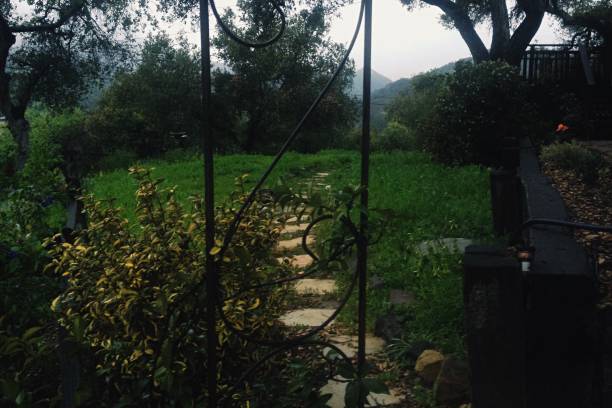 Design: Stone path and S Curve railing on a gray day