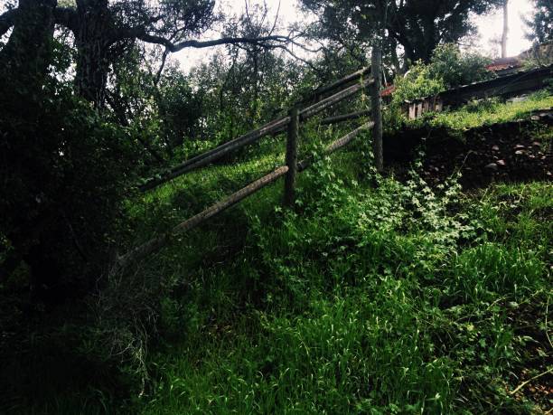 istock Wood Fence on a hillside during a rainy day 1129535045