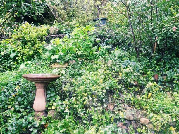 istock Stone Birdfeeder on a green hill 1129535477