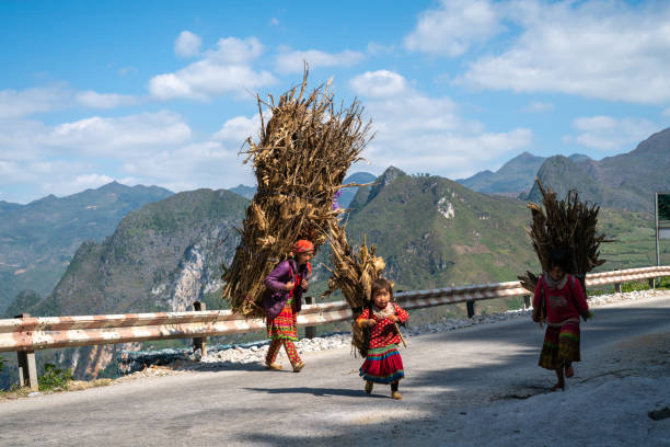 Ha Giang, Vietnam - Nov 25, 2018: Children with wood on back basket heading home at Ma Pi Leng pass