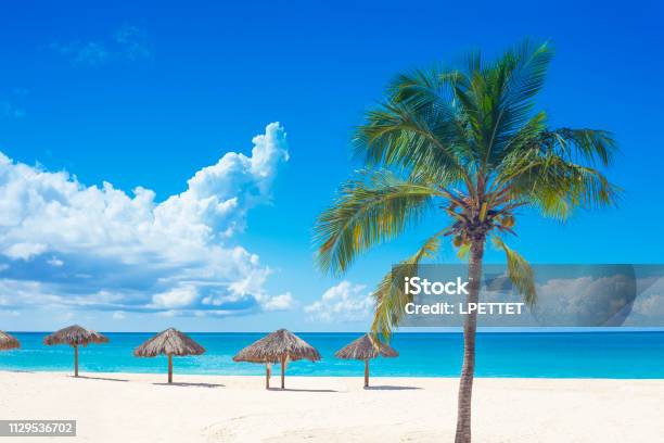 Curacao Stock Photo - Download Image Now - Curaçao, Beach, Caribbean