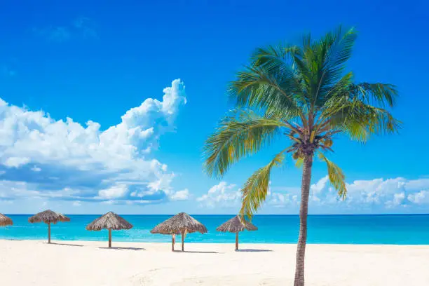 A stock photo of Curaçao. Curaçao is a Dutch Caribbean island.