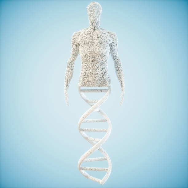 추상 모델 인간의 dna 분자의 - dna chromosome healthcare and medicine human cell 뉴스 사진 이미지