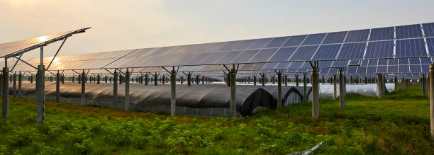 Outdoor solar photovoltaic panel