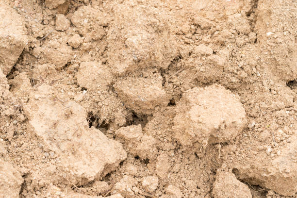 istock texture of dry soil 1129550828