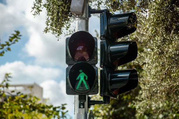 green traffic light allows pedestrian to cross the road in secure. blur nature and sky backdrop, closeup. - rules of the road imagens e fotografias de stock