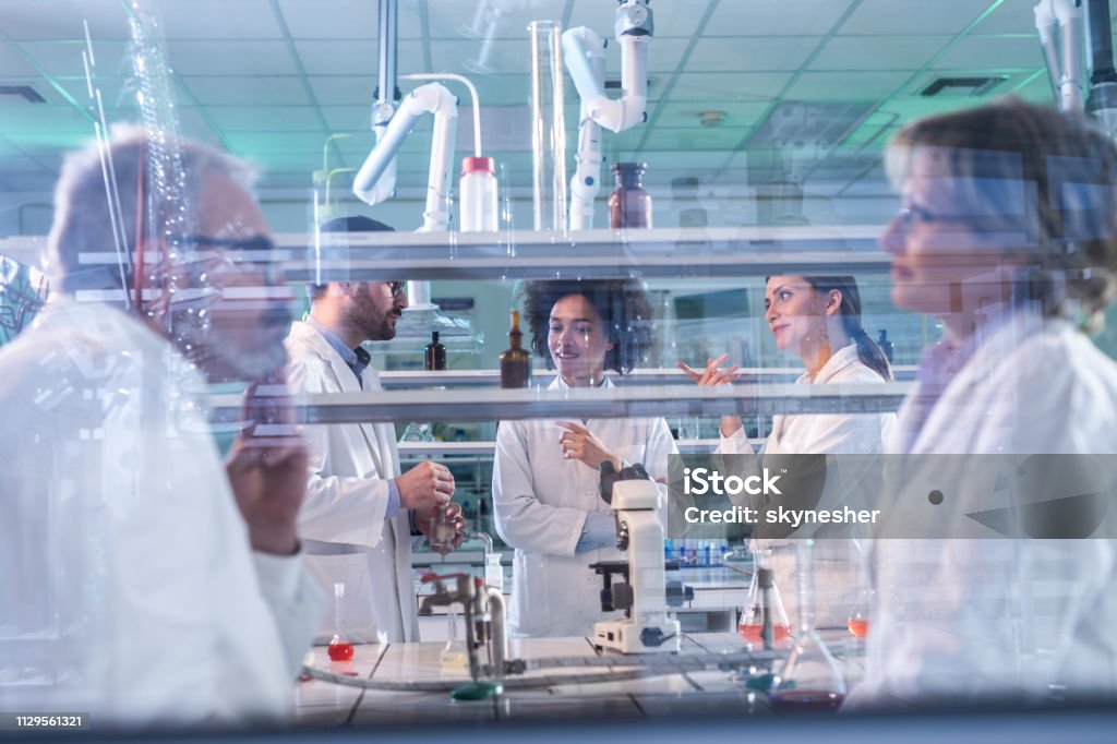 Young Happy Lab Workers Talking While Working On A Research In ...