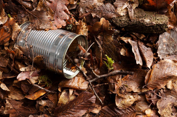 istock Tin can waste on forest floor closeup 1129562487