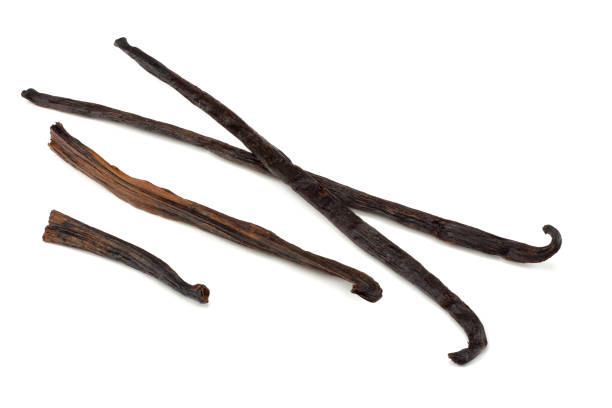 istock Vanilla sticks isolated on white background. vanilla bean 1129563957