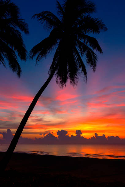 istock Sunrise silhouette beautiful on beach at Thung Wua Lan Beach 1129564207