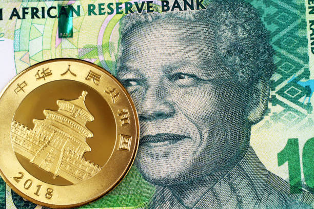 un verde sudafricano diez rand nota con una moneda de oro chino de cerca - ten rand note fotografías e imágenes de stock