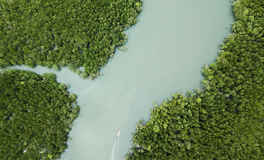 Drone shot looking down onto local fishing boat heading down jungle river