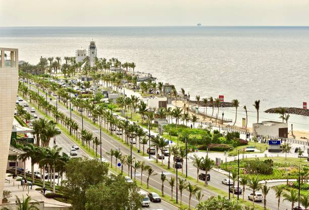 Waterfront beach park in the city top view Jeddah waterfront park in the daylight with palm trees lined up in the street. calm before the storm photos stock pictures, royalty-free photos & images