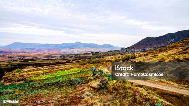 Landscape With The Agriculture Field Around Malealea In Lesotho Stock Photo - Download Image Now