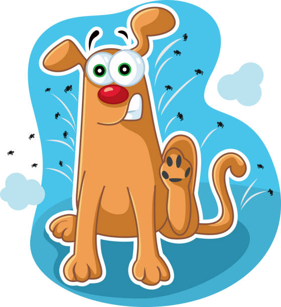 lustiger hund flöhe vector cartoon kratzen - infestation stock-grafiken, -clipart, -cartoons und -symbole