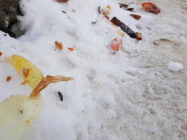 istock trash and garbage bags on snow 1129571758