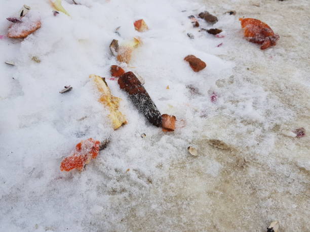 istock trash and garbage bags on snow 1129571759