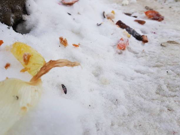 istock trash and garbage bags on snow 1129571791