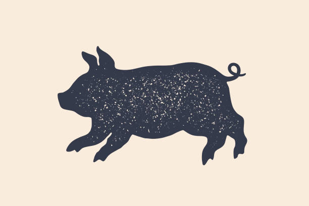 돼지, 돼지입니다. 농장 동물의 컨셉 디자인 - pig silhouette animal livestock stock illustrations