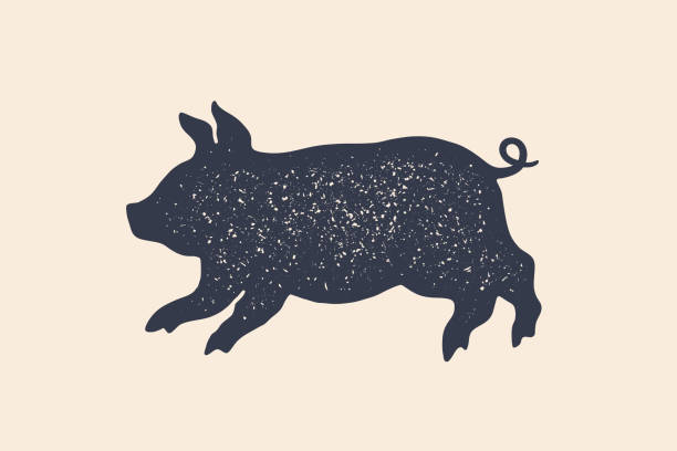 Pig, piggy. Concept design of farm animals Pig, piggy. Concept design of farm animals - Piggy side view profile. Isolated black silhouette pig or piggy on white background. Vintage retro print, poster, icon. Vector Illustration farm silhouettes stock illustrations