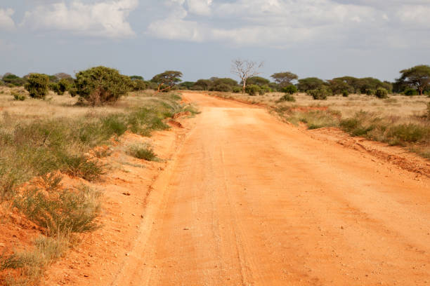 istock Way throught the savannah with red soil 1129573990