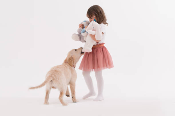 istock Happy girl playing with his dog on a white 1129574173