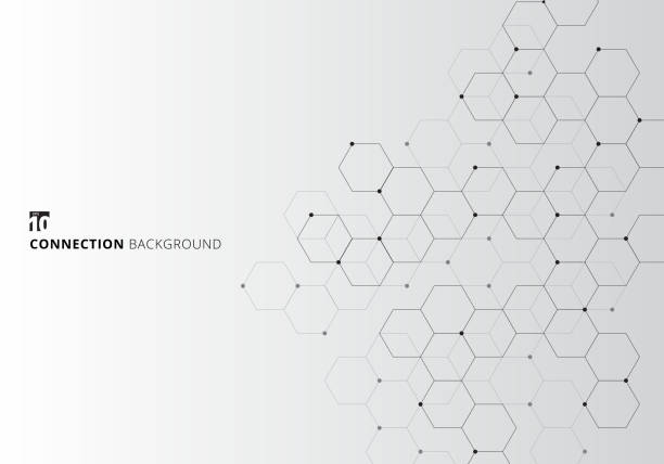 illustrations, cliparts, dessins animés et icônes de hexagones abstraits avec le numérique de nœuds géométriques avec des lignes noires et points sur fond blanc. concept de connexion de technologie - molecule molecular structure atom chemistry