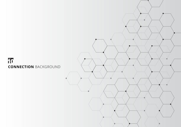 ilustrações de stock, clip art, desenhos animados e ícones de abstract hexagons with nodes digital geometric with black lines and dots on white background. technology connection concept - white molecule