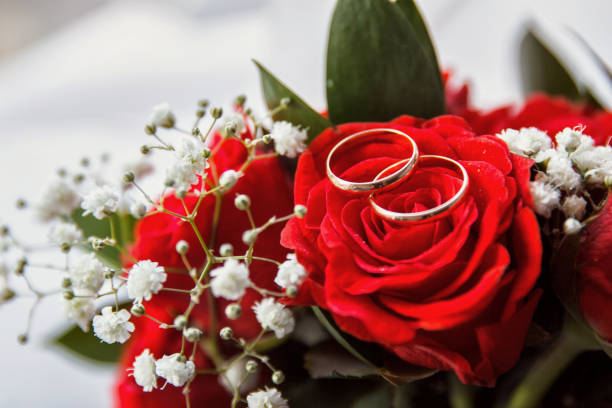 Happy Valentine's Day Celebration