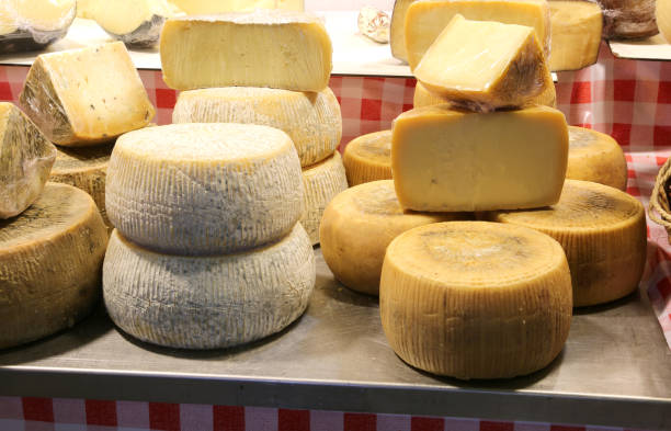 istock cheese made with milk oh sheep and caciotta cheese with milk of 1129580907