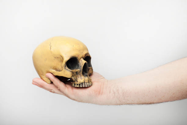 istock Male hand holds a human skull, isolated  on the white background. 1129582171