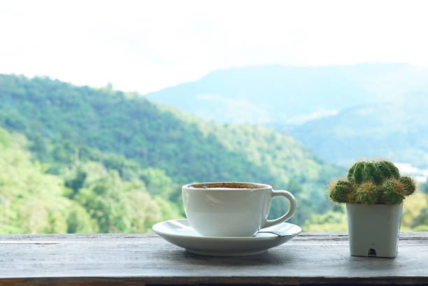 istock Coffee and cactus on the wood table with moutain background 1129584877