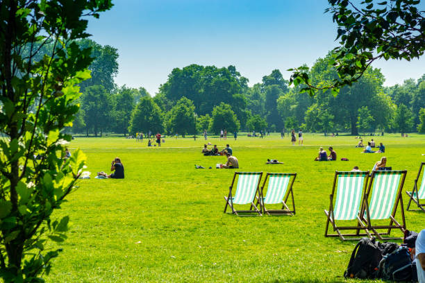 sillas en hampstead heath - deck chair summer grass outdoor chair fotografías e imágenes de stock