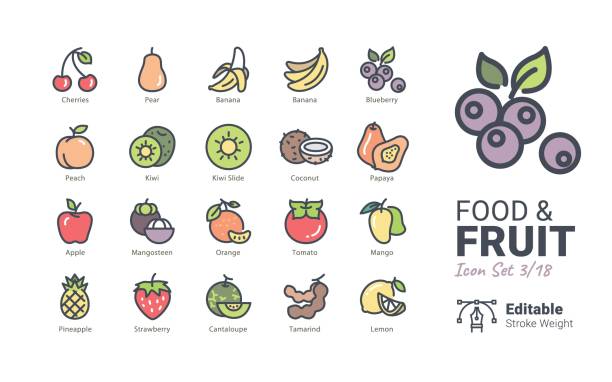 ilustrações, clipart, desenhos animados e ícones de comida e frutas vetor ícones - tamarindo