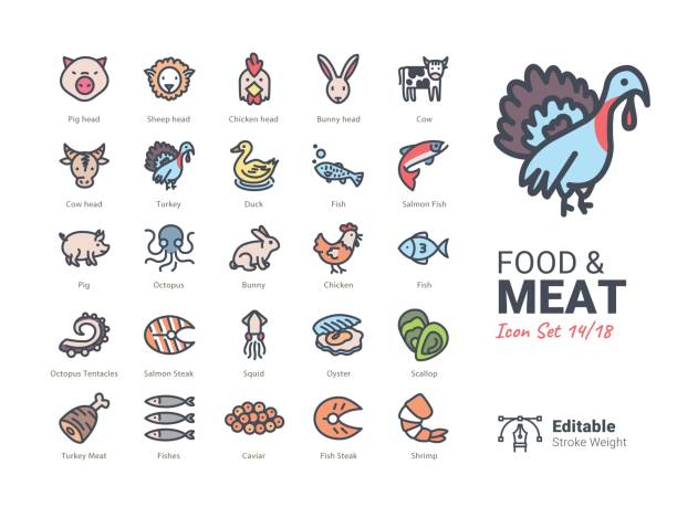 ilustrações, clipart, desenhos animados e ícones de ícone de vetor de comida e carne - chicken fish beef pig