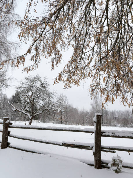 istock Non-urban winter street 1129598124