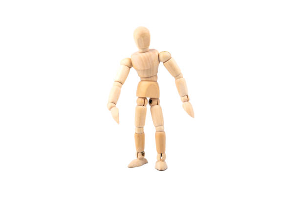 istock wooden human model on a white background 1129598160