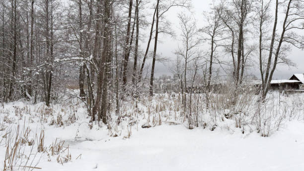 istock Non-urban winter street 1129598180