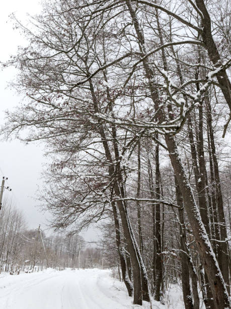 istock Non-urban winter street 1129598814