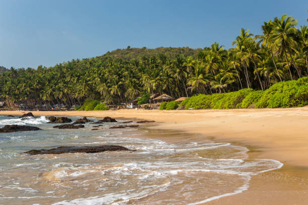 istock Tropical beach with rocks and palm trees 1129598865