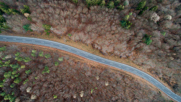 istock Road through the forest - autumn winter season 1129599197