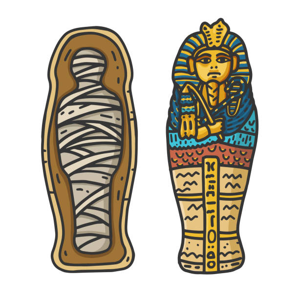 ilustraciones, imágenes clip art, dibujos animados e iconos de stock de sarcófago de pharaon tutankhamun egipcio antiguo con una momia vendada dentro - sarcófago