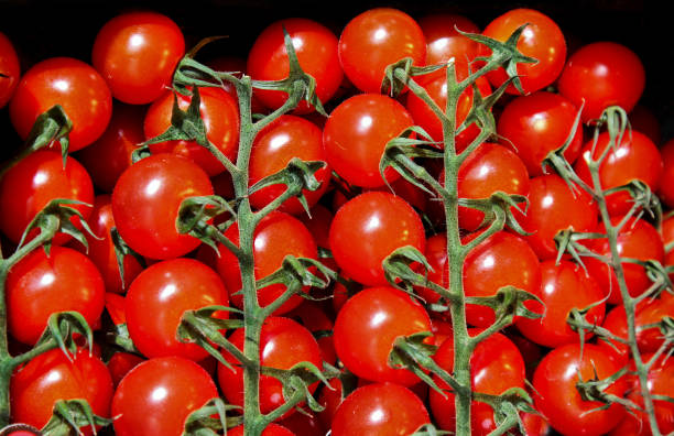 istock Cherry tomatoes at market. 1129600693