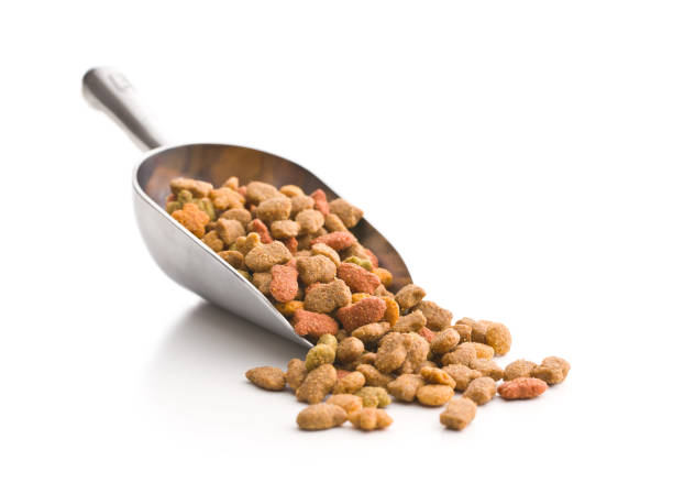 istock Dry pet food. 1129601267