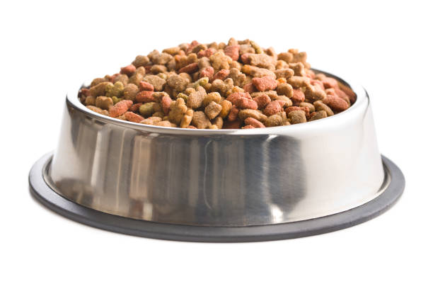 istock Dry pet food. 1129601275