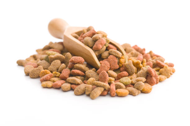 istock Dry pet food. 1129601333